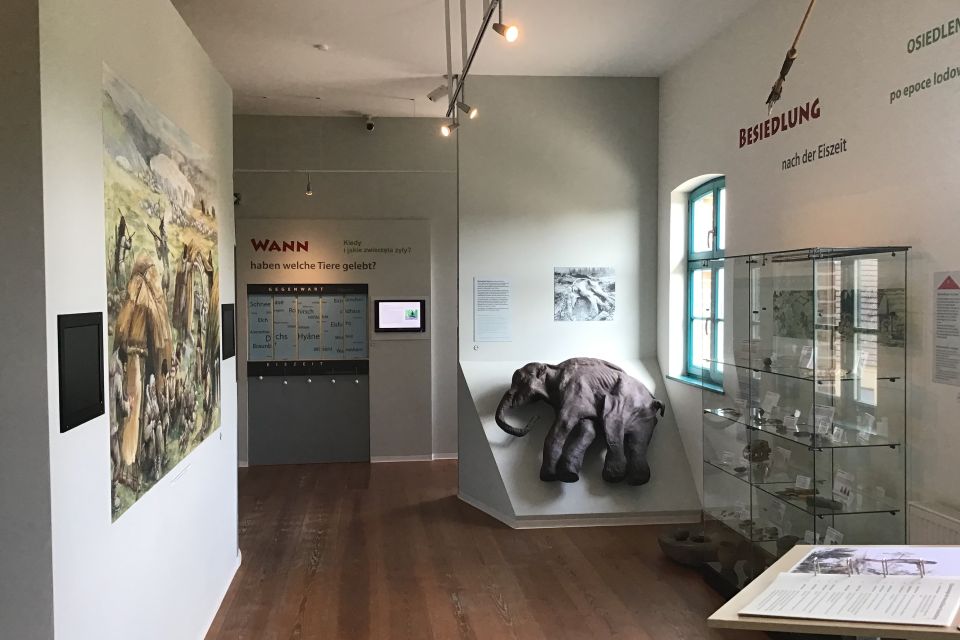 Ausstellung im Eiszeitmuseum, Foto: Geopark Eiszeitland am Oderrand e.V., Lizenz: Geopark Eiszeitland am Oderrand e.V.